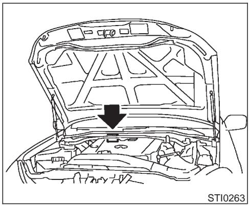 INFINITI M45 - PLAQUE D'IDENTIFICATION DU VEHICULE (VIN) - 1