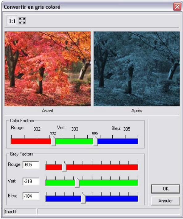 ARC TECHNOLOGY ARC+ 2007 - Convertir en gris coloré - 2