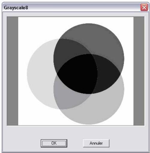 ARC TECHNOLOGY ARC+ 2007 - Niveau de gris 8 bits - 3