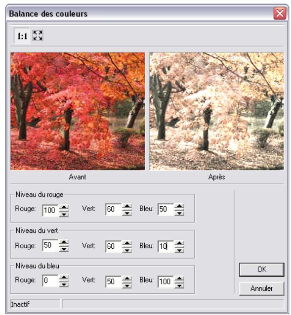 ARC TECHNOLOGY ARC+ 2007 - Balance des couleurs - 6