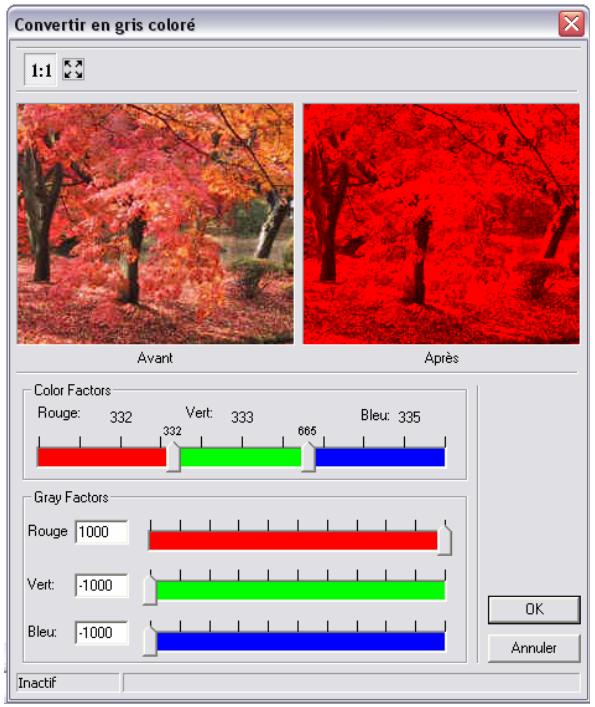 ARC TECHNOLOGY ARC+ 2007 - Convertir en gris coloré - 3