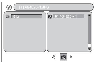 MAGNAT DVS 4232 - Playing audio, picture and video files stored on memory cards: - 2