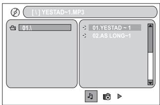MAGNAT DVS 4232 - Playing audio, picture and video files stored on memory cards: - 1
