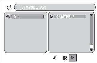 MAGNAT DVS 4232 - Abspielen von Audio-, Bild- und Videodateien auf Speicherkarten: - 3