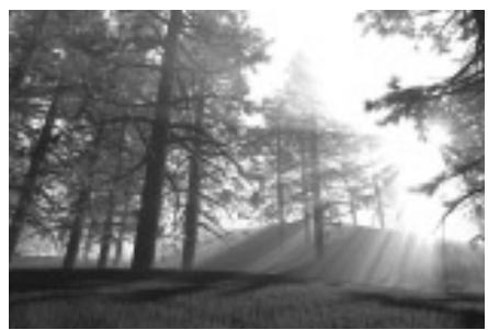 KISS DP-450 - Reproduccion de medios - 3