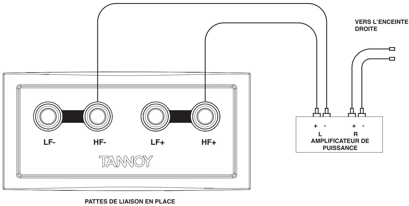 TANNOY REVOLUTION - Caisson de GRAVES - 1