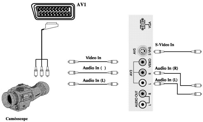 PHOCUS LCD 30 WMS - Connexion de la Tv avec un caméoscop - 1