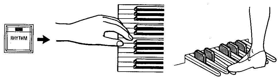 KAWAI X1000 - VARIATION - 1
