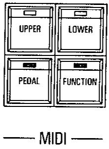 KAWAI X1000 - Procedure - 1