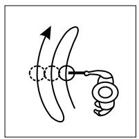 MINELAB MUSQUETEER ADVANTAGE - Treasure Hunting Tips - 4
