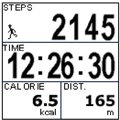 HOLUX GPSPORT 260 PRO - Mode Podomètre - 3