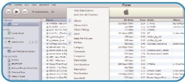 CORTEX DMIX600 - AAC und DRM Titel konvertieren - 2