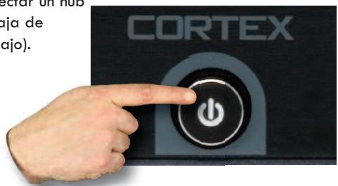 CORTEX DMIX600 - PASO CUATRO - 1