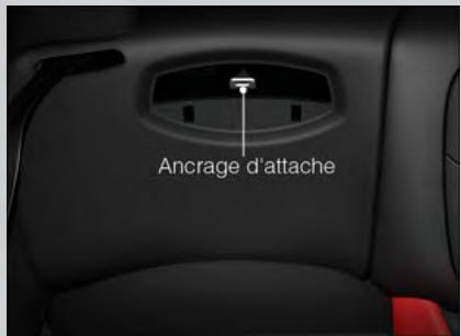 DODGE VIPER - MISE EN GARDE! - 2