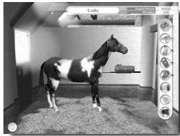UBISOFT ALEXANDRA LEDERMANN 5-L HERITAGE DU HARAS - Nourrir - 1