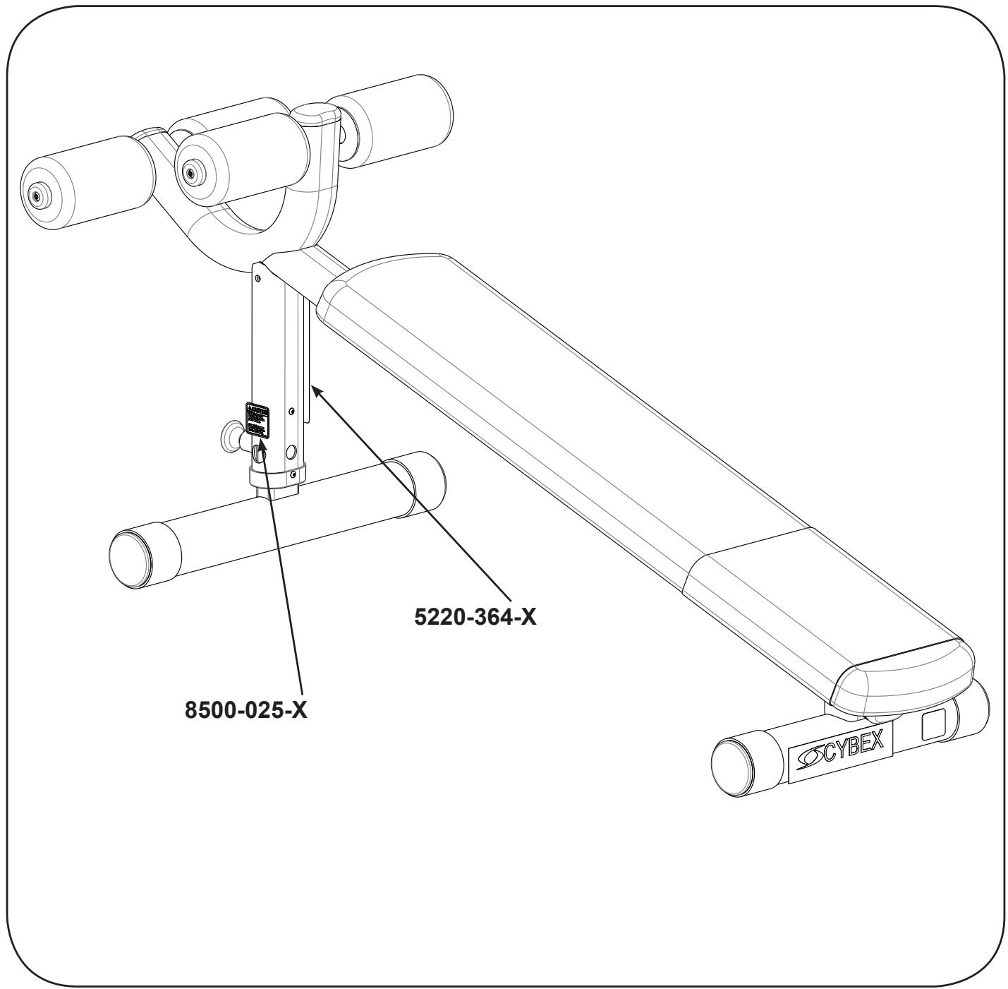 CYBEX INTERNATIONAL 16161 ADJUSTABLE DECLINE BENCH - Emplacement des autocollants - 1