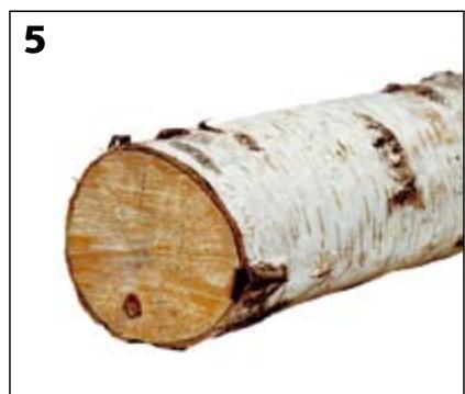 STUV 30-UP - Les résineux - 5