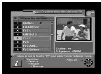 TELEVES 7288 - - Effacer une chaîne - 1