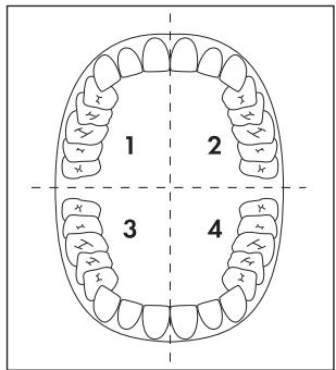 DENTALUX DRZ 3.0 A1 ELECTRIC TOOTHBRUSH - 品 Remarque - 1