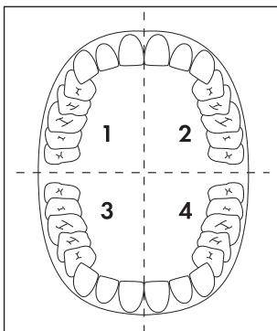 DENTALUX KH123 - Hinweis - 1