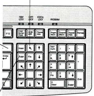 GATEWAY CLAVIER ANYKEY PLUS - Touches supplémentaires - 1