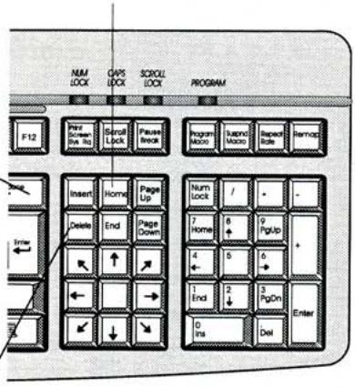 GATEWAY CLAVIER ANYKEY PLUS - Clavier suisse - 1