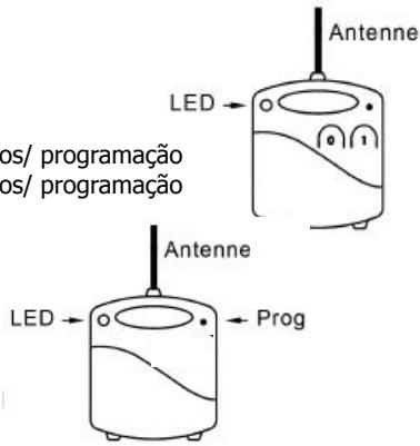 EDOBE XDOM PMML - Instalacao - 1