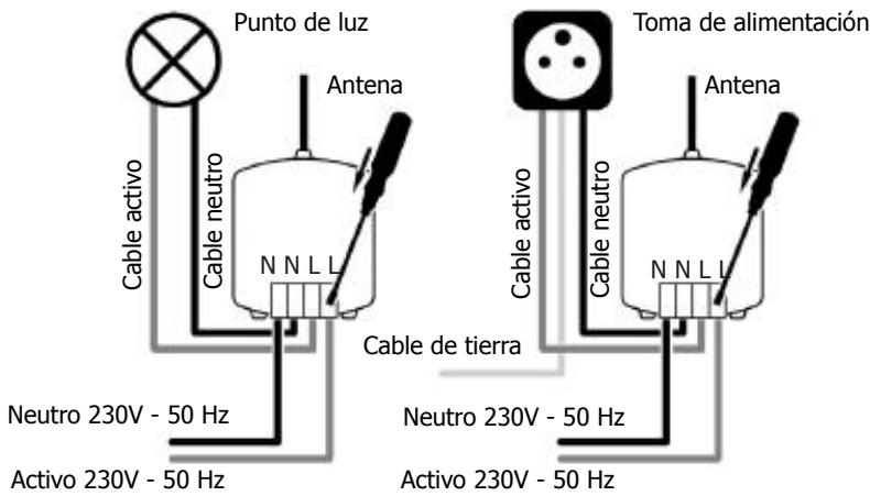 EDOBE XDOM PMML - RMML INSTALLACION DEL MICRO RECEPTOR - 1