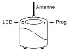 EDOBE XDOM RMML - DESCRIPTION - 1