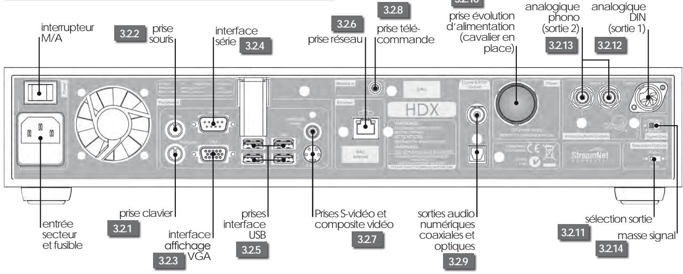 NAIM1 HDX-SSD - Installation - Connexions - 1
