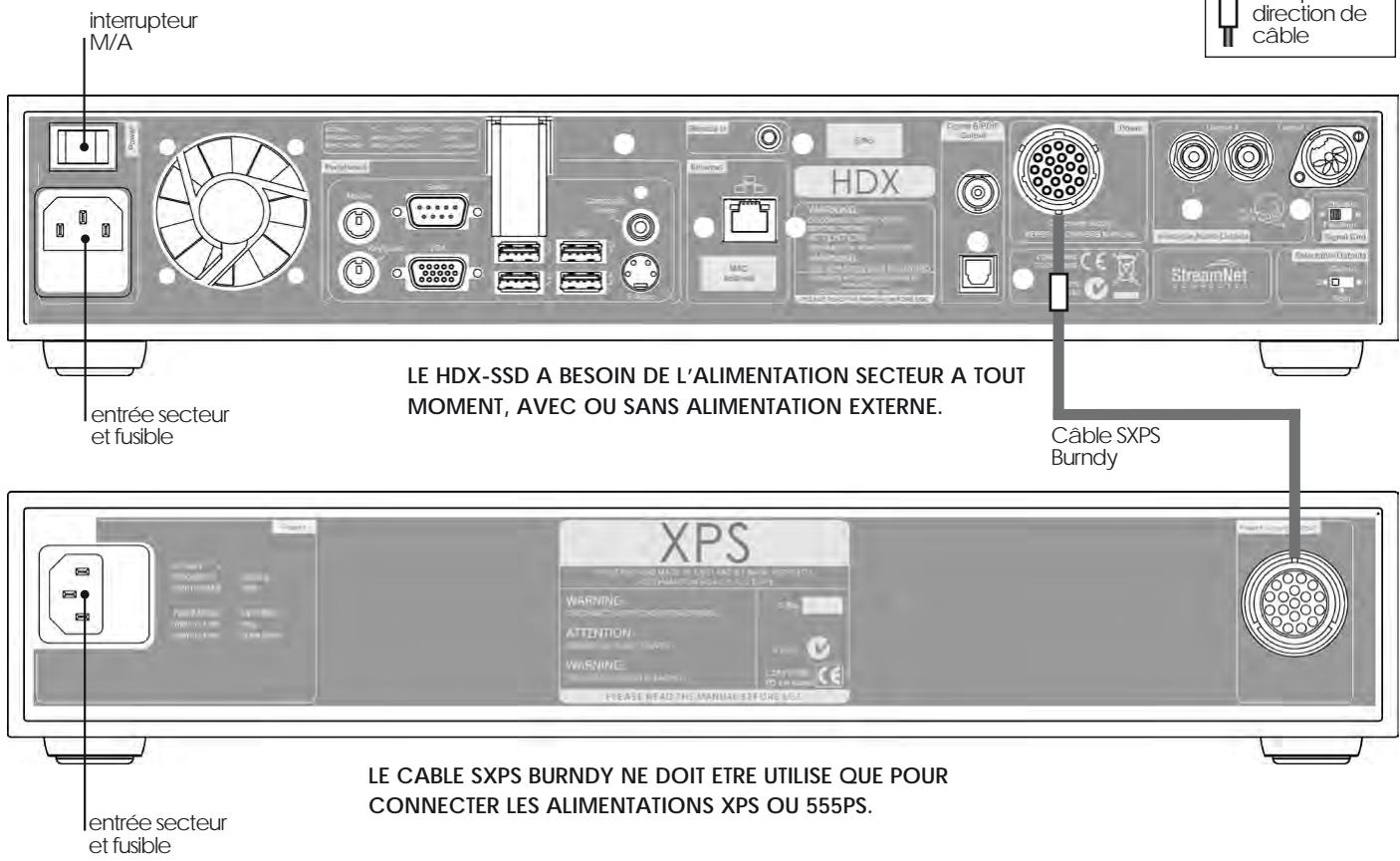 NAIM1 HDX-SSD - Installation - Connexions - 1