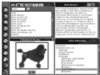 HACHETTE MULTIMEDIA DICTIONNAIRE HACHETTE ENCYCLOPEDIE - Sélectionner des informations - 1