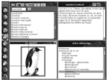 HACHETTE MULTIMEDIA DICTIONNAIRE HACHETTE ENCYCLOPEDIE - Utiliser les informations obtenues - 1