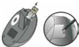 DICOTA STORE - Installation der Maus - 1