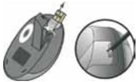 DICOTA STORE - YctaHOBkaMbIiH - 1