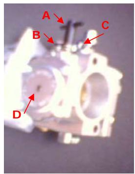 HE PARAMOTORES R 120 - Carburateur à diaphragmes - 2