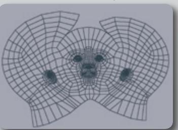 MAXON BODYPAINT 3D - Une suture ultra rapide - 1