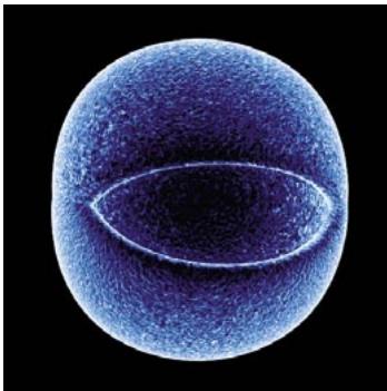 MAXON CINEMA 4D - Rapide Tutoriel - Matériaux - 12