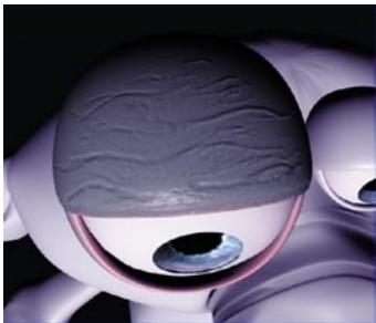 MAXON CINEMA 4D - Rapide tutorialie - Première lecon de peinture - 13