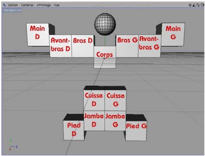 MAXON CINEMA 4D - Rapide tutorialiel - Placement d'objets - 8