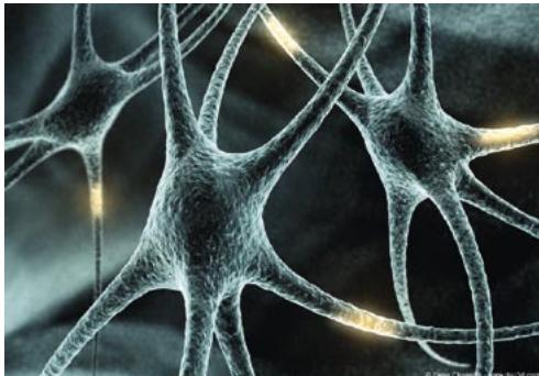 MAXON CINEMA 4D - Images d'exemple - 8