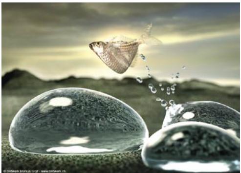 MAXON CINEMA 4D - Images d'exemple - 3