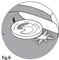 T-FAL ULTRAGLIDE EASYCORD FV4379 - INSTRUCTIVO DE OPERACION - 10