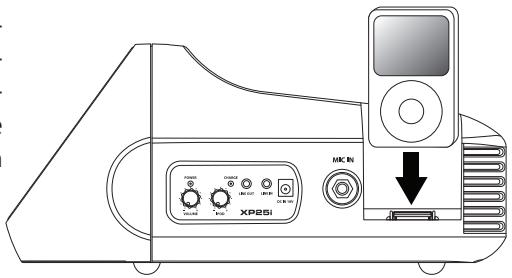 SAMSON XP25I - Il Collegamento dell'iPod - 2