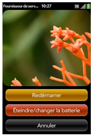 PALMONE PRE PLUS - Activation/désactivation globale (écran et services sans fil) - 2