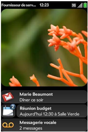 PALMONE PRE PLUS - Affichage de l'intégrality des notifications reçues - 1