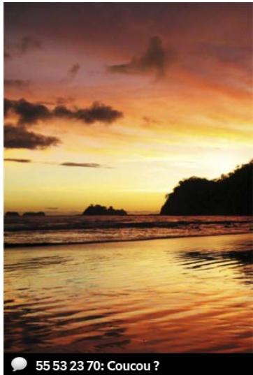 PALMONE PRE PLUS - Réponse à une notification - 1