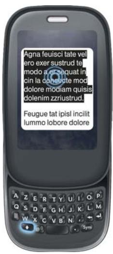 PALMONE PRE PLUS - Gestes de sélection de texte - 4