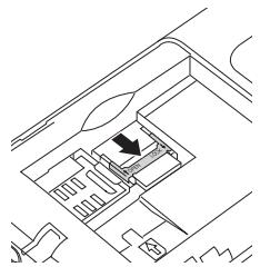PALMONE TREO 500V - Inserting and removing expansion cards - 3
