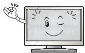 LG 49LJ5150V - ATTENTIE - 30